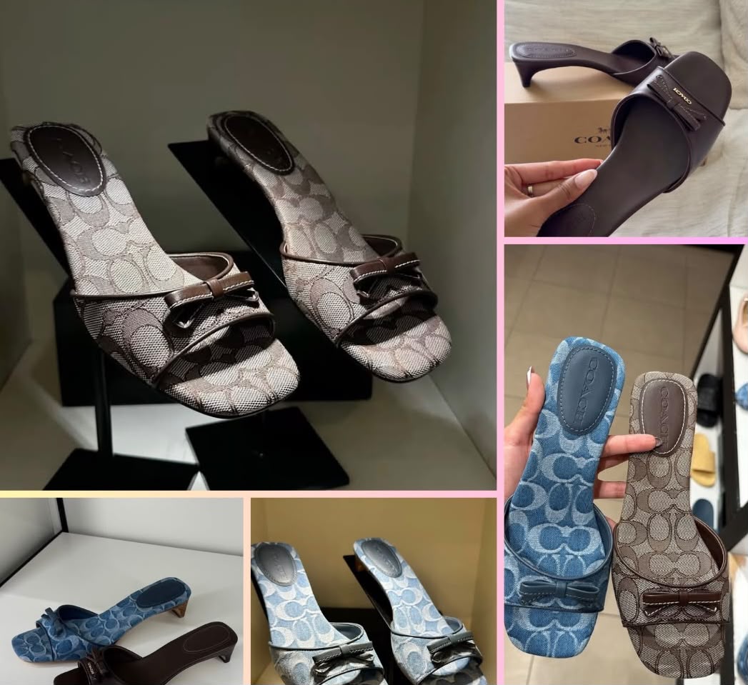 Zapatilla Coach