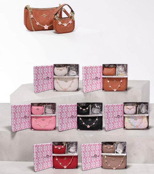 Set bolsa + monedero