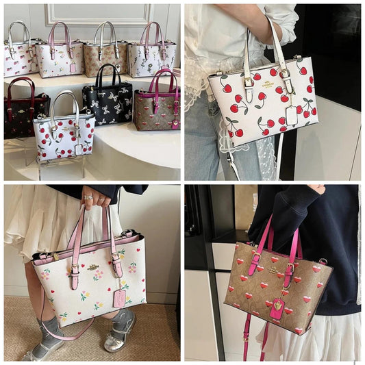 Bolsa compartimentos coach