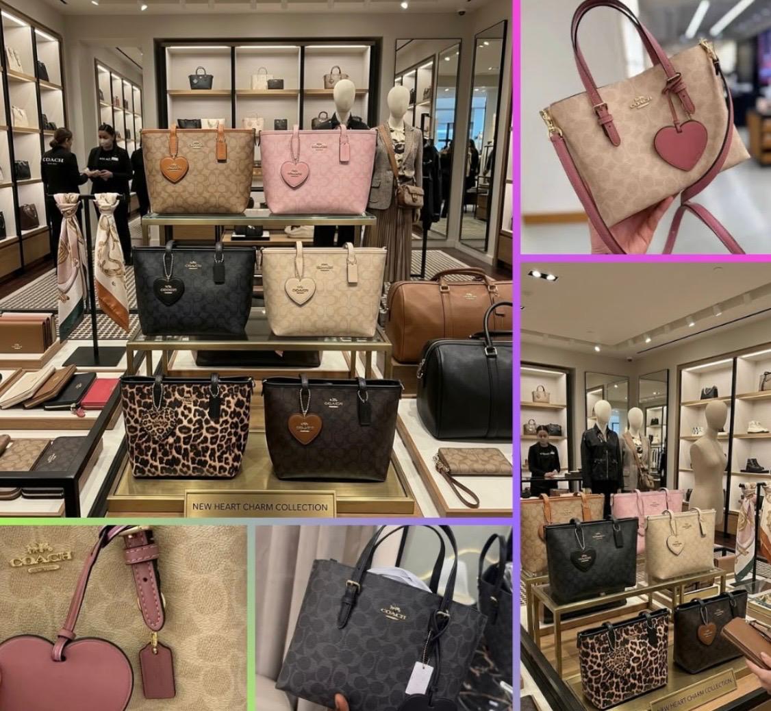 Bolsa coach mediana