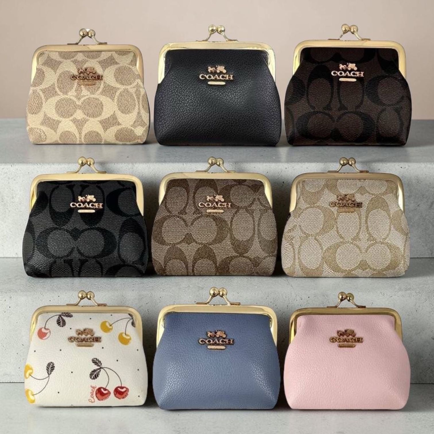 Monedero con broche coach