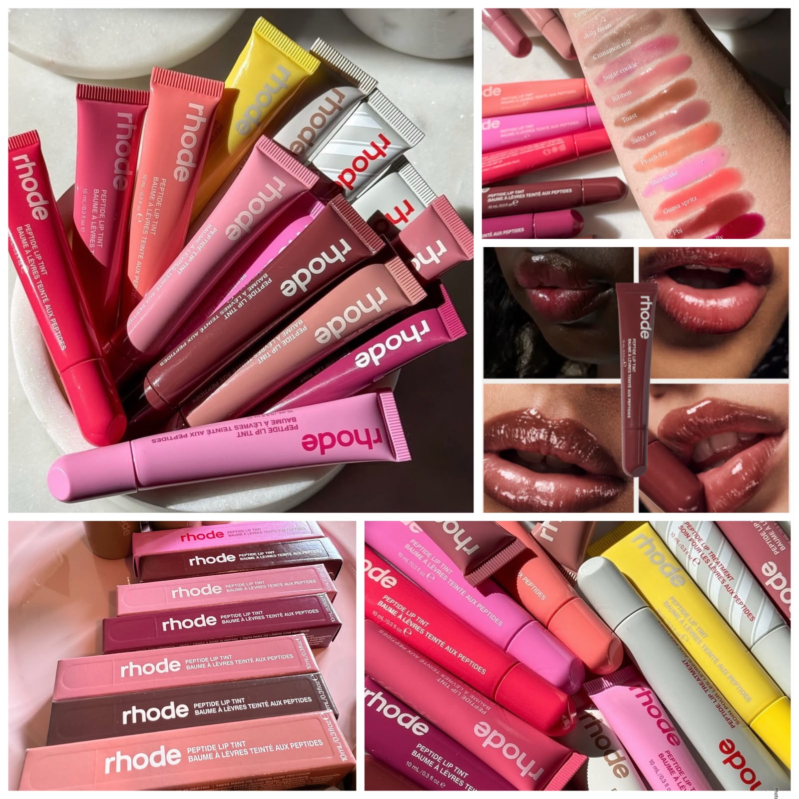 Gloss Rhode 8 pzs