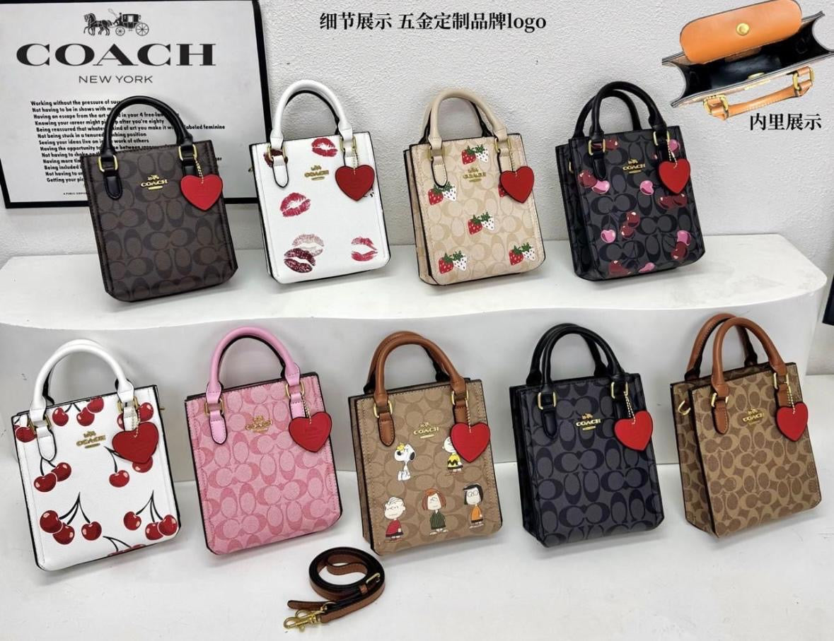 Bolsa coach rígida