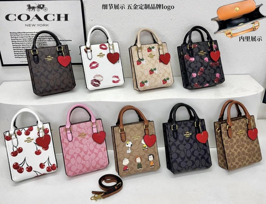 Bolsa coach rígida