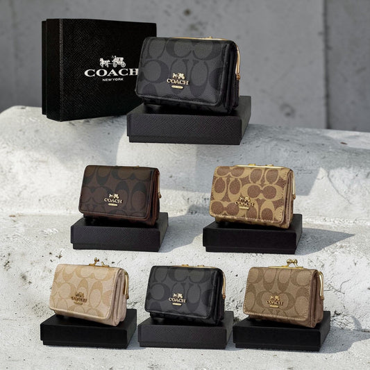 Billetera • Monedero en caja 004