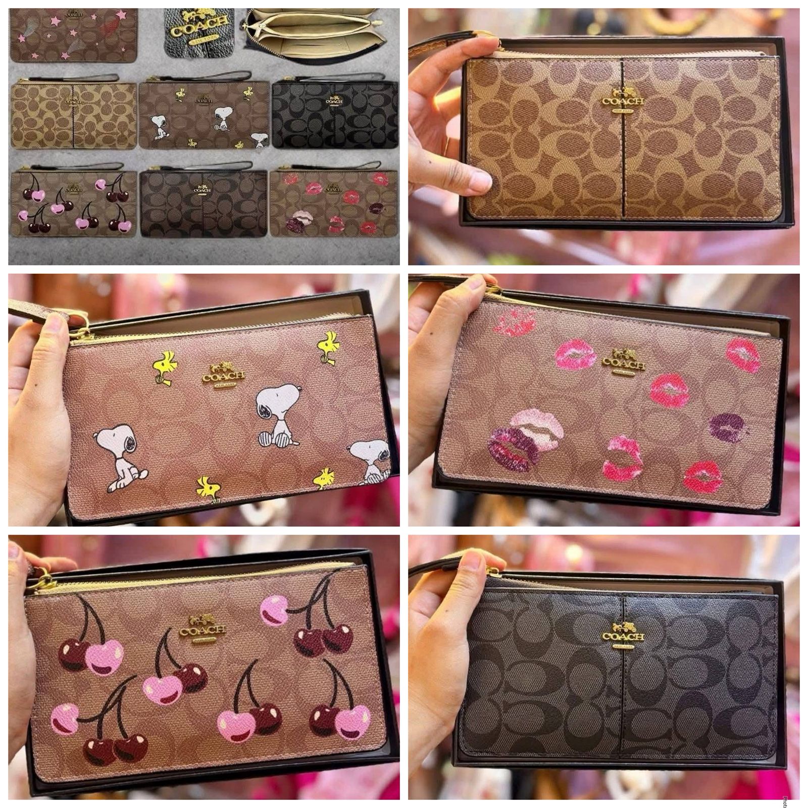 Muñequera compartimentos en caja
