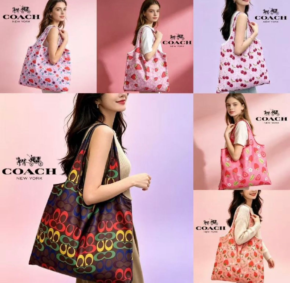 Bolsa expandible varios